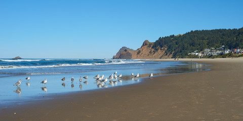 View of the rocky cape near Lincoln City.