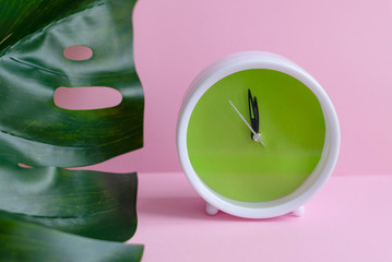 alarm clock and a monstera leaf on a pink background. minimalism, creative concept.