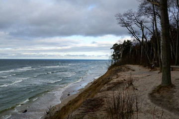 beach and sea