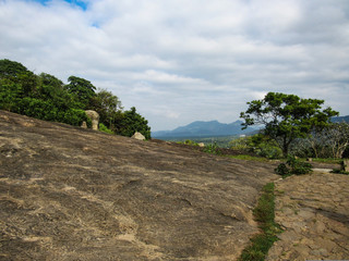 Tea plantations and green nature in small village in the middle of mountains in Sri Lanka