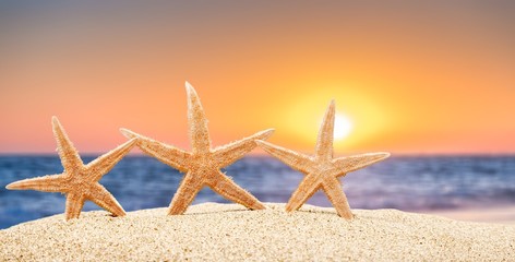 Fototapeta na wymiar starfish with ocean, beach and seascape
