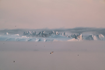 Stranded icebergs in the fog at the mouth of the Icefjord near Ilulissat. Nature and landscapes of Greenland. Travel on the vessel among ices. Phenomenon of global warming. Coast in the sunset.