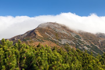 View from Ukraine Carpathian mountains, mount Pip Ivan