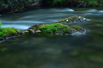 Water flow of the Canyon. Forest and mountain landscapes