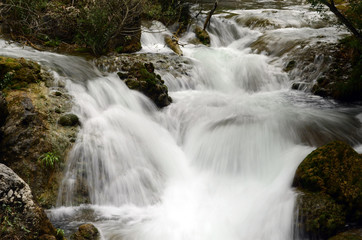 Water flow of the Canyon. Forest and mountain landscapes