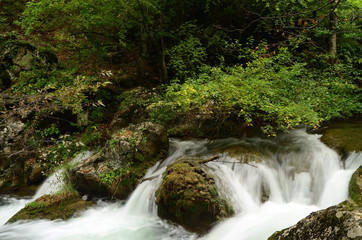 Water flow of the Canyon. Forest and mountain landscapes