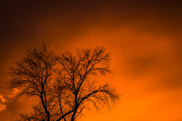 unbelievable sunset silhouette 