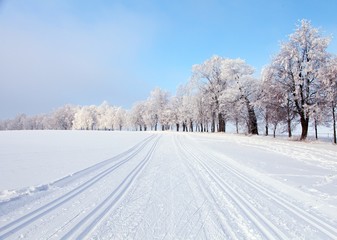 Obraz premium cross country skiing way