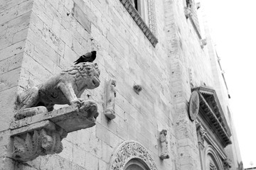 Il piccione e il leone, Barletta, Puglia, Italy