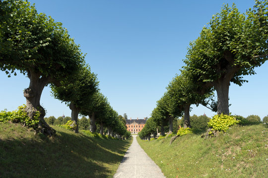 Feston Avenue at Bothmer Castle near Boltenhagen, Baltic Sea, Mecklenburg Western Pomerania, Germany, Europe