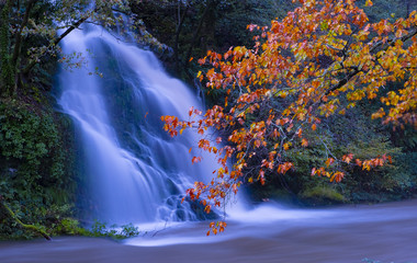 Waterfall and tree in autumn on the Urumea river, Navarra
