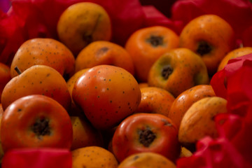 Canasta con tejocotes frescos, es una fruta mexicana ocupada durante festividades navideñas. Crataegus mexicana, tambiém conocida como manzanita, manzana de Indias, manzana chilena, tejocotera