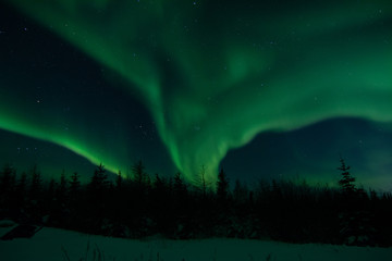 Obraz na płótnie Canvas northern lights in canada