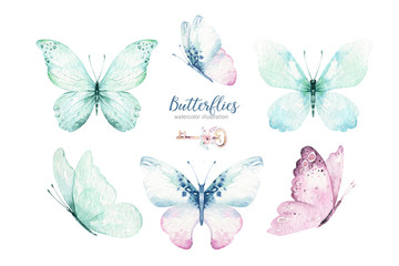 Watercolor colorful butterflies, isolated butterfly on white background. blue, yellow, pink and red butterfly spring illustration.