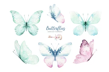 Tuinposter Watercolor colorful butterflies, isolated butterfly on white background. blue, yellow, pink and red butterfly spring illustration. © kris_art