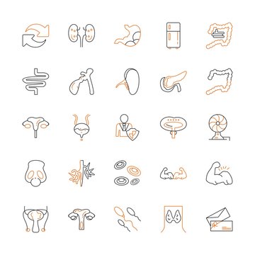 Universal Modern Icon Sheet For Websites And Mobile Applications