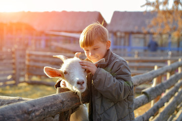 Joyful and happy boy hugs and strokes a horned goat, the concept of the unity of nature and man.