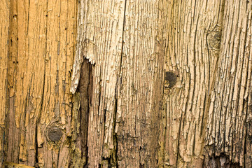 Old wooden boards with peeling paint. Old background. Textured planks of oak and pine. Bright colours. Natural aging of the material.