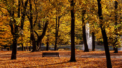 Park Planty w Białymstoku , Polska złota jesień, Podlasie, Polska © podlaski49