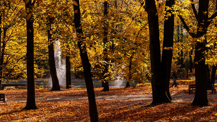 Park Planty w Białymstoku , Polska złota jesień, Podlasie, Polska © podlaski49