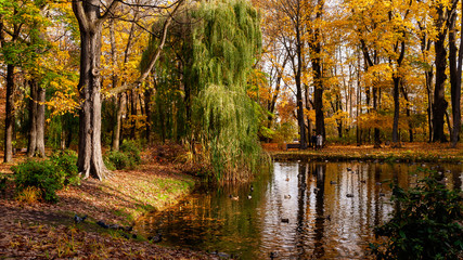 Park Planty w Białymstoku , Polska złota jesień, Podlasie, Polska © podlaski49