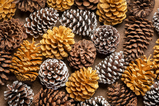 natural, gold and frosty white pine cones