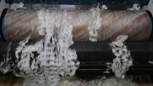 The process of cleaning white cotton from seeds on the machine. Cotton growing, agriculture, light industry.