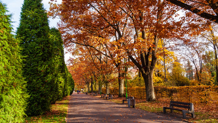 Park Planty w Białymstoku , Polska złota jesień, Podlasie, Polska © podlaski49