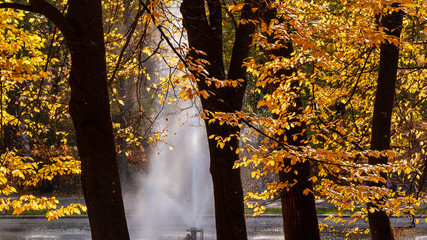 Park Planty w Białymstoku , Polska złota jesień, Podlasie, Polska © podlaski49
