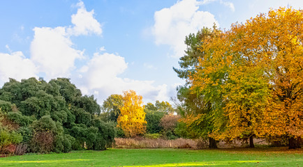 Autumn in British park - Osterley, Isleworth, London, United Kingdom