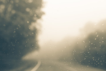 Natural fog and blurred background.