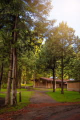 Santuario de la luciernagas en Tlaxcala