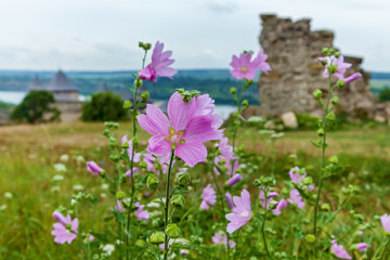 Khotyn fortress