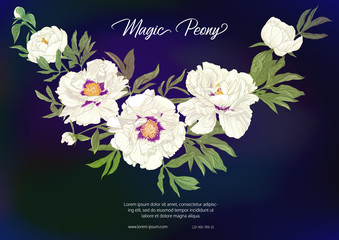 White Peony. Template for wedding invitation, greeting card, banner, gift voucher, label. Colored vector illustration. On black, dark blue background.