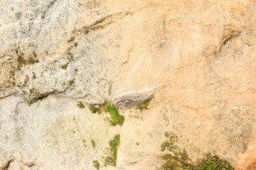 surface texture of the stone