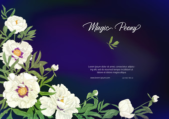White Peony. Template for wedding invitation, greeting card, banner, gift voucher, label. Colored vector illustration. On black, dark blue background.