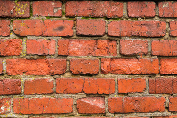 Obraz premium Texture, background. Old red brick wall, in the rain, destroyed by time