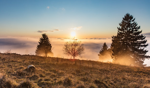 herbststimmung