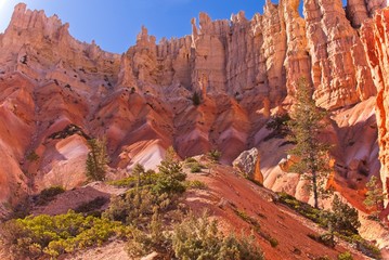 Hoodoos Bryce Canyon