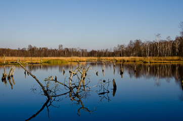 Autumn walk in a moor, an area of nature protection in Norderstedt, Germany