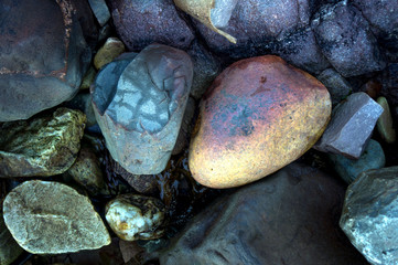 Kolorowe kamienie na plaży
