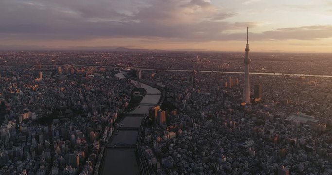 Aerial shot of central Tokyo at dawn, Japan