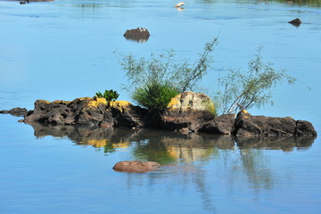 Bank of the Iguazu River. Favorite tourist destination of the whole world.