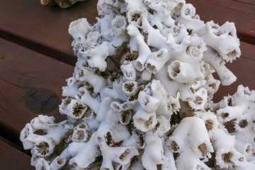 Local stones and minerals in Iceland