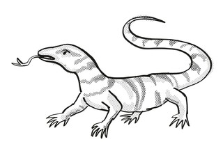 Gray's Monitor Endangered Wildlife Cartoon Drawing