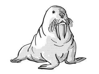 Pacific Walrus Endangered Wildlife Cartoon Drawing