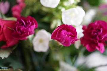 Fototapeta na wymiar Blumenstrauß