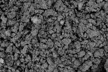 Black loose earth. Farmer plowed the field. Soil texture.