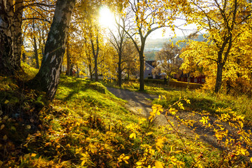 Autumn landscape of Trondheim. Norway.