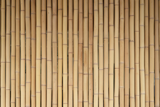 Yellow bamboo wooden fence. Background from bamboo, wood texture.